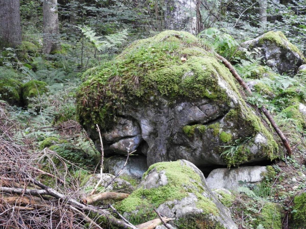 Kraehenberg Am Rande Der Wildnis Appartement Sibratsgfäll Buitenkant foto