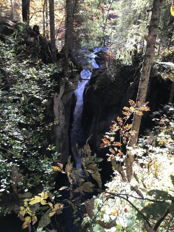 Kraehenberg Am Rande Der Wildnis Appartement Sibratsgfäll Buitenkant foto