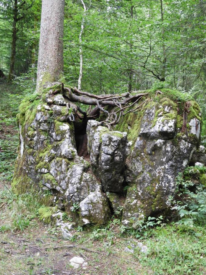 Kraehenberg Am Rande Der Wildnis Appartement Sibratsgfäll Buitenkant foto