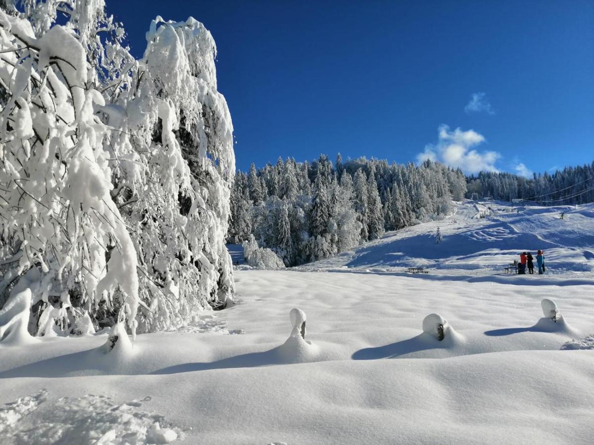 Kraehenberg Am Rande Der Wildnis Appartement Sibratsgfäll Buitenkant foto