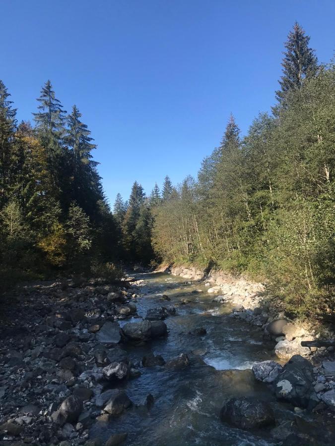 Kraehenberg Am Rande Der Wildnis Appartement Sibratsgfäll Buitenkant foto
