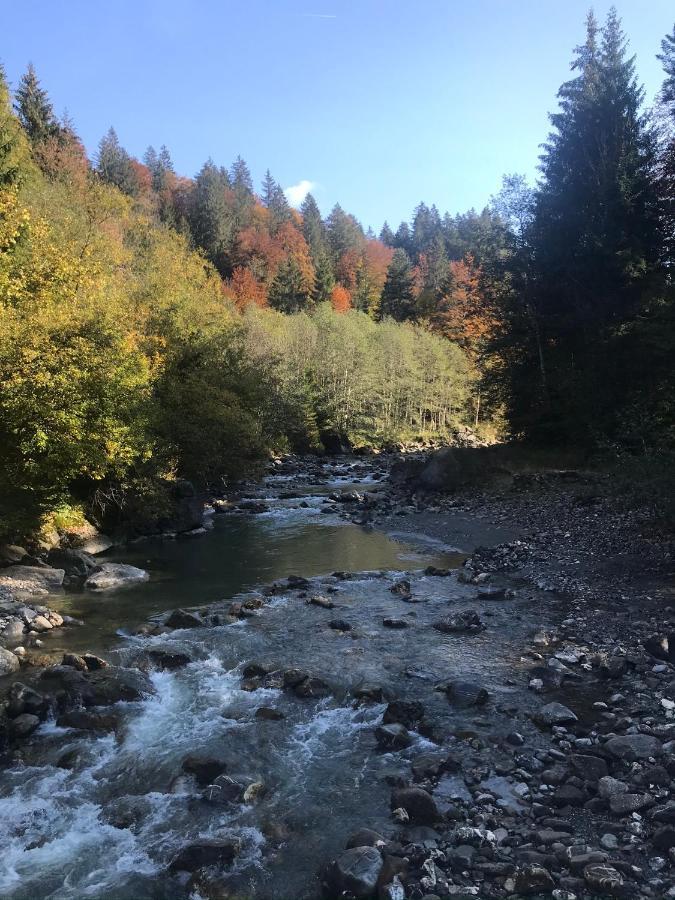 Kraehenberg Am Rande Der Wildnis Appartement Sibratsgfäll Buitenkant foto